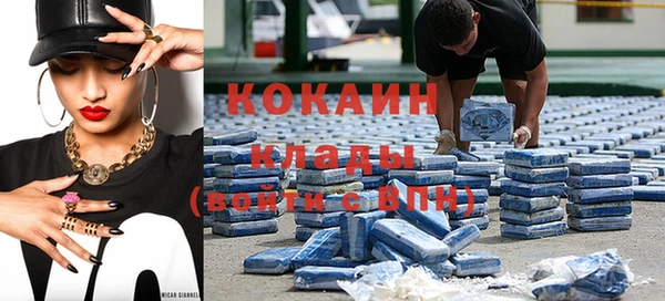 крисы Вязники