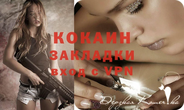 крисы Вязники